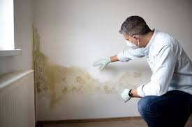 Mold Odor Removal Services in Corning, NY